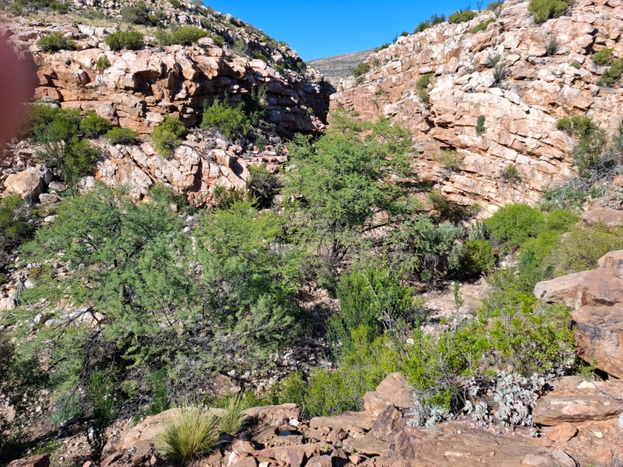  Bedroom Property for Sale in Ladismith Rural Western Cape